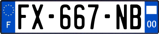 FX-667-NB