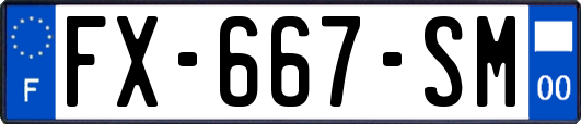 FX-667-SM
