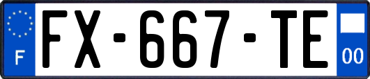 FX-667-TE