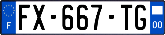 FX-667-TG