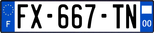 FX-667-TN