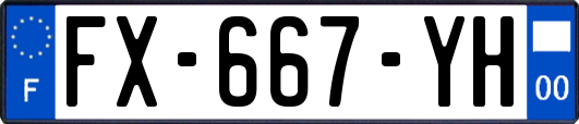 FX-667-YH