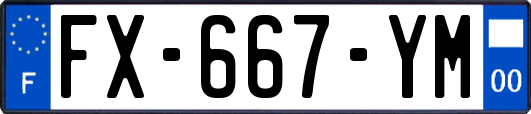 FX-667-YM