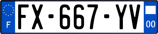 FX-667-YV