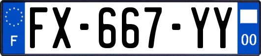 FX-667-YY