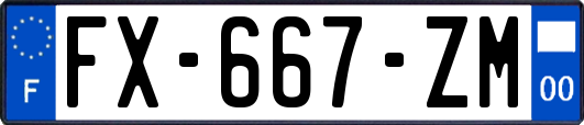 FX-667-ZM