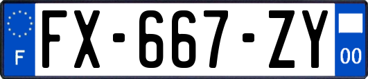 FX-667-ZY