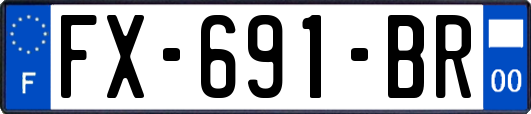 FX-691-BR
