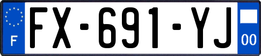 FX-691-YJ
