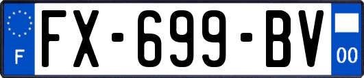 FX-699-BV