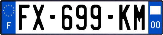 FX-699-KM