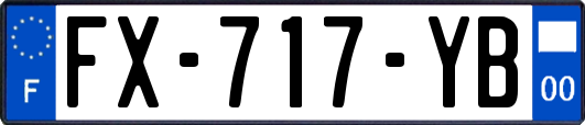 FX-717-YB