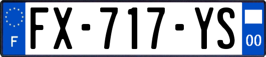 FX-717-YS