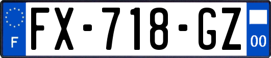 FX-718-GZ