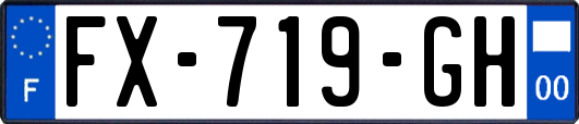FX-719-GH