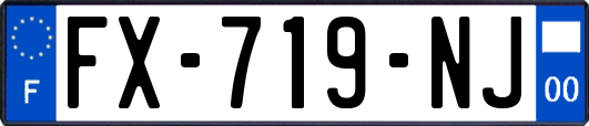 FX-719-NJ