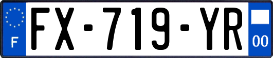FX-719-YR
