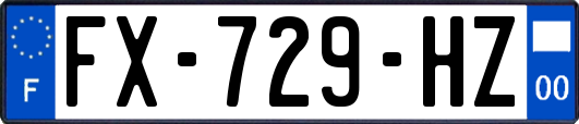 FX-729-HZ
