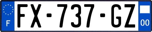 FX-737-GZ