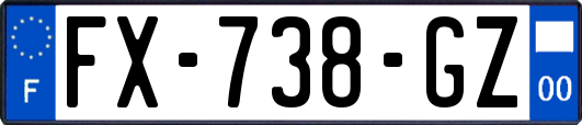 FX-738-GZ
