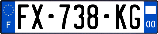FX-738-KG