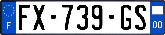 FX-739-GS