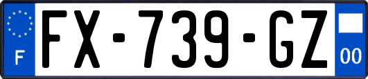 FX-739-GZ