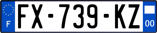 FX-739-KZ