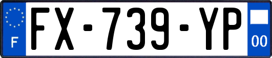 FX-739-YP