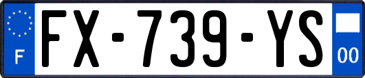 FX-739-YS