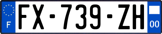 FX-739-ZH