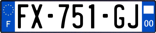 FX-751-GJ