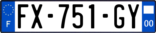 FX-751-GY
