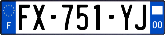 FX-751-YJ