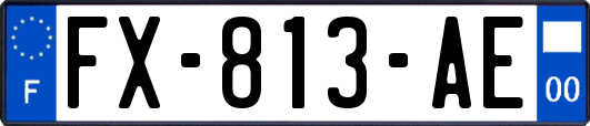 FX-813-AE