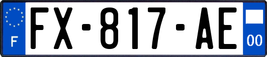 FX-817-AE