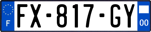 FX-817-GY