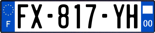 FX-817-YH