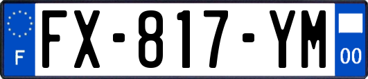 FX-817-YM