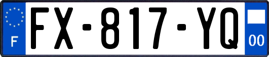 FX-817-YQ