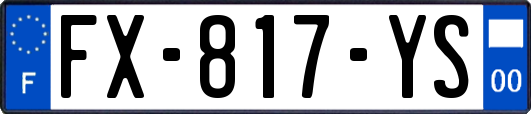 FX-817-YS