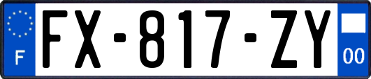 FX-817-ZY