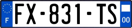 FX-831-TS