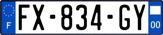 FX-834-GY