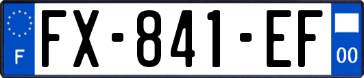 FX-841-EF