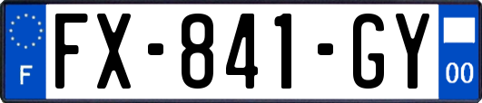 FX-841-GY
