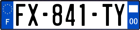 FX-841-TY