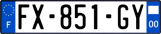 FX-851-GY