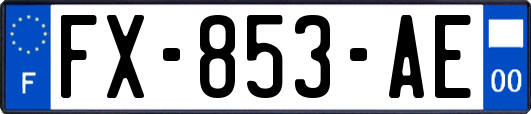 FX-853-AE