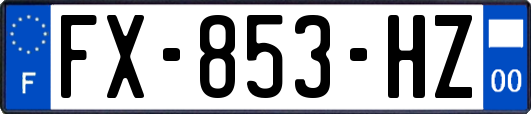 FX-853-HZ